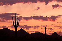 /images/133/2014-06-16-supers-sunset-5d2_7411.jpg - #11948: Sunset in Superstitions … June 2014 -- Sunset Cactus, Superstitions, Arizona