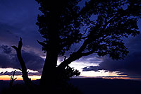 /images/133/2014-07-03-gc-dview-views-1dx_0997.jpg - #12029: Night tree silhouette at Desert View in Grand Canyon … July 2014 -- Desert View, Grand Canyon, Arizona