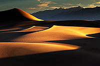 /images/133/2015-08-15-dv-mesquite-morn-1dx_3356.jpg - #12595: Mesquite Sand Dunes in Death Valley … August 2015 -- Mesquite Sand Dunes, Death Valley, California
