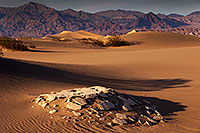 /images/133/2015-08-16-dv-mesquite-1dx_3386.jpg - #12596: Mesquite Sand Dunes in Death Valley … August 2015 -- Mesquite Sand Dunes, Death Valley, California