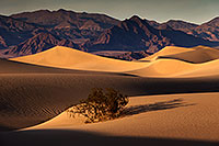 /images/133/2015-08-16-dv-mesquite-1dx_3398.jpg - #12597: Mesquite Sand Dunes in Death Valley … August 2015 -- Mesquite Sand Dunes, Death Valley, California