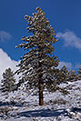 /images/133/2017-01-13-sierra-lookout-5d4_1118v.jpg - #13484: Eastern Sierra Mountains … January 2017 -- Eastern Sierra, California