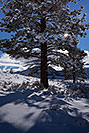 /images/133/2017-01-13-sierra-lookout-5d4_1134v.jpg - #13485: Eastern Sierra Mountains … January 2017 -- Eastern Sierra, California