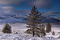 /images/133/2017-01-13-sierra-lookout-5d4_1169.jpg - #13487: Eastern Sierra Mountains … January 2017 -- Eastern Sierra, California