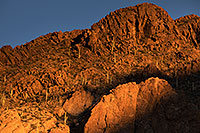 /images/133/2017-01-27-tucson-mountains-5d4_1176.jpg - #13559: Tucson Mountain Park … January 2017 -- Tucson Mountains, Arizona