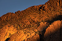 /images/133/2017-01-27-tucson-mountains-5d4_1182.jpg - 13560: Tucson Mountain Park … January 2017 -- Tucson Mountains, Arizona