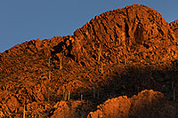 /images/133/2017-01-27-tucson-mountains-5d4_1185.jpg - #13561: Tucson Mountain Park … January 2017 -- Tucson Mountains, Arizona