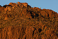 /images/133/2017-01-28-tucson-mountains-5d4_0660.jpg - #13568: Tucson Mountain Park … January 2017 -- Tucson Mountains, Arizona