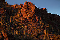 /images/133/2017-07-19-tuc-mtns-a7r2_00100.jpg - #13940: Tucson Mountains … July 2017 -- Tucson Mountains, Arizona