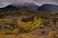 /images/133/2017-09-27-mclure-pass-im100-a7r2_3773.jpg - #14078: Fall colors at McClure Pass, Colorado … September 2017 -- McClure Pass, Colorado