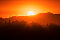 /images/133/2017-10-23-4peaks-dt-cla100-a7r2_06119.jpg - #14152: Sunset at Four Peaks, Arizona … October 2017 -- Four Peaks, Arizona