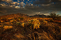 /images/133/2018-06-08-st-ritas-viv77-3to7-a7r3_01652.jpg - #14464: Evening clouds at Santa Rita Mountains … June 2018 -- Santa Rita Mountains, Arizona