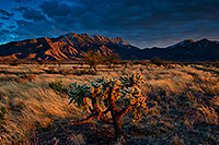 /images/133/2020-01-09-santa-rita-7to0-a7r3_20946.jpg - #14773: Evening at Santa Rita Mountains … January 2020 -- Santa Rita Mountains, Arizona