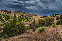 /images/133/2020-08-13-box-hillls-3to7n88-a7r3_30662.jpg - #14824: Evening in high desert of Box Canyon … August 2020 -- Box Canyon, Arizona