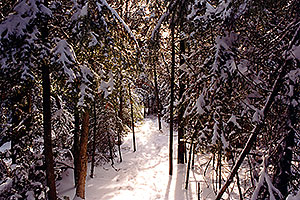 Bruce Trail in winter 