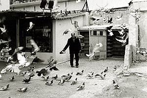 The man who owned pigeons in Athens â€¦