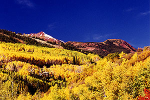 Fall colors in Snowmass Village 