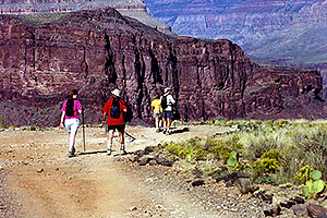 People approaching Plateau which overlooks Colorado River
