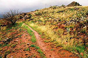 wet Reavis Ranch Trail in Superstition Mountains