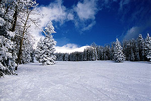 Snowbowl ski area