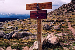 Alpine Gardens Trail #49 at 12,000ft
