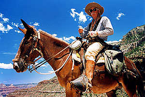 Horseback riding guide in Grand Canyon