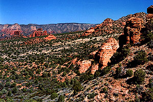 view of Sycamore Canyon in Sedona