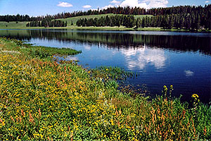 Indian Pond by Yellowstone Lake
