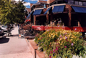 Flowers and people in Aspen