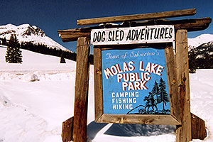Dogsled Adventures at Molas Pass