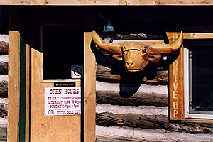 Carved Longhorn Cow at Cowboy Kitchen Bar-B-Que â€¦ images of Divide