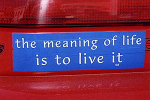 The meaning of Life is to Live it â€¦ images of Divide