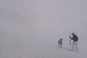 Backcountry Skier and dog in windy foggy conditions -- before skiing down east side towards Arapahoe Basin