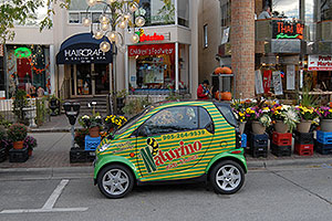 Smart Car by Mercedes Benz - available in Canada, not yet USA - http://www.msnbc.msn.com/id/5217861/ 