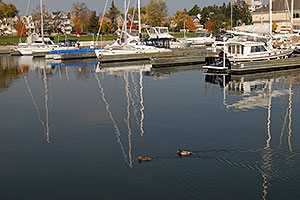 images of Oakville
