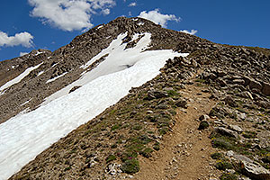 View up at 13,000 ft along La Plata Peak trail 