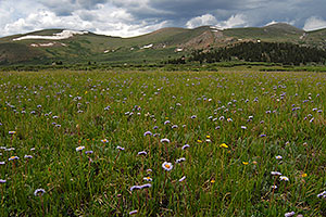 A view along the trail of Mt Bierstadt