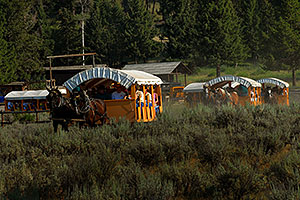 Horse Caravan on a trail ride at Roosevelt Corral near Tower Fall