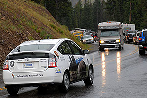 Yellowstone National Park car and traffic -- cars stopped and watching moose below the road