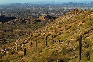 View North at Phoenix from South Mountain