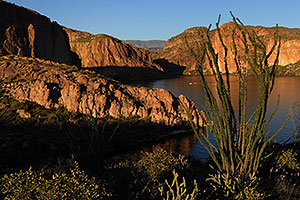 Ocotillo on the right above Canyon Lake in Superstitions