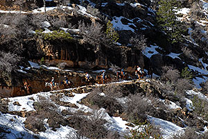 Mule riding group and snow spots along Bright Angel Trail in Grand Canyon