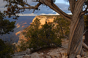 View from the Grand Canyon South Rim, near Bright Angel Trail