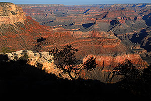 View from Mather Point in Grand Canyon