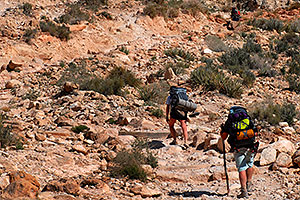 Hikers along Havasupai Trail near Hualapai Hilltop, in the last mile of uphill and switchbacks