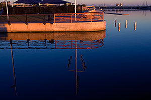 Late afternoon by Tempe Town Lake Marina