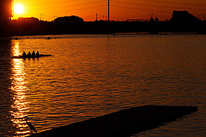 Scullers and Great Blue Heron at North Bank Boat Ramp at sunset at Tempe Town Lake
