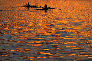 Scullers at Tempe Town Lake