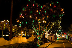 Christmas lights along Mill Road in Tempe - view South