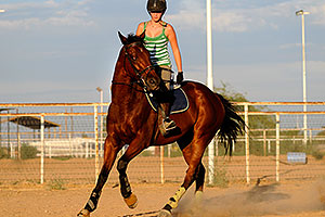 Horseback riding in Queen Creek